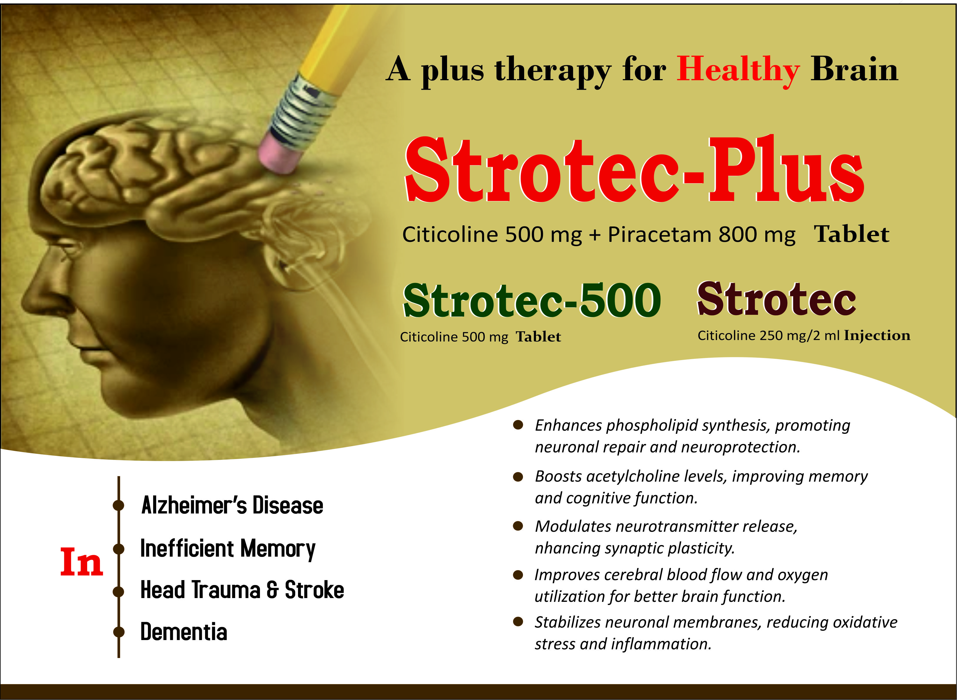 Citicoline + Piracetam Tablet benefits